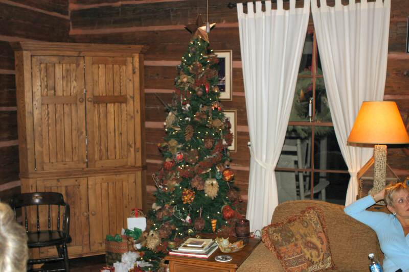 Beautiful Christmas Trees everywhere