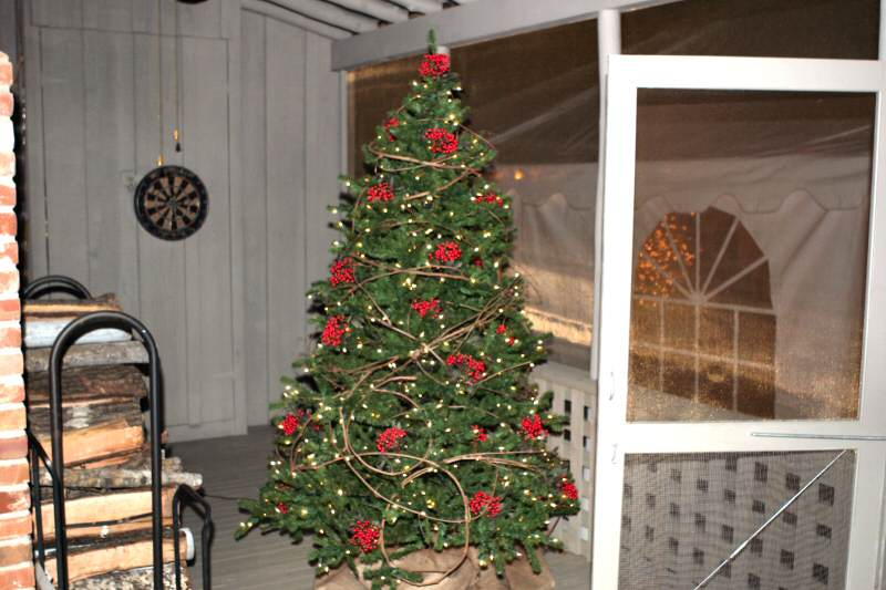 Beautiful Christmas Trees everywhere