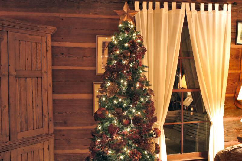 Beautiful Christmas Trees everywhere