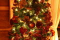 Beautiful Christmas Trees everywhere