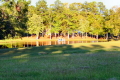 2004.10.16-0046