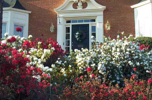Robin Pennock's 2002 Atlanta Garden Tour