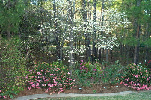 Robin Pennock's 2002 Atlanta Garden Tour