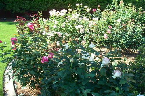 Robin Pennock's 2002 Atlanta Garden Tour