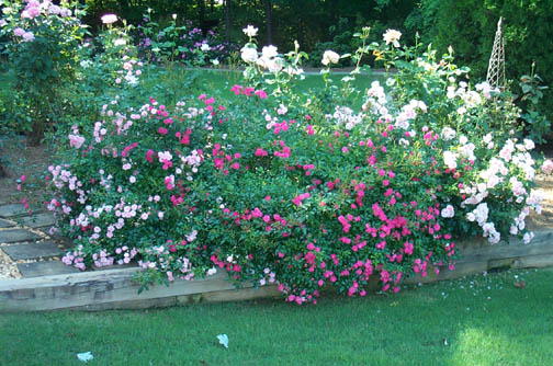 Robin Pennock's 2002 Atlanta Garden Tour