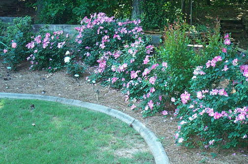 Robin Pennock's 2002 Atlanta Garden Tour