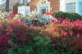 Robin Pennock's 2002 Atlanta Garden Tour