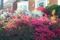 Robin Pennock's 2002 Atlanta Garden Tour