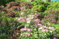 Robin Pennock's 2002 Atlanta Garden Tour