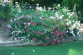 Robin Pennock's 2002 Atlanta Garden Tour