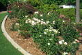 Robin Pennock's 2002 Atlanta Garden Tour