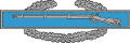 Combat_Infantry