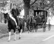 OCShorse02x