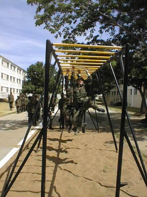ocsch008