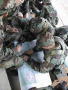 ocsfl016