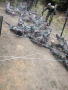 ocsw3006