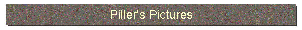 Piller's Pictures