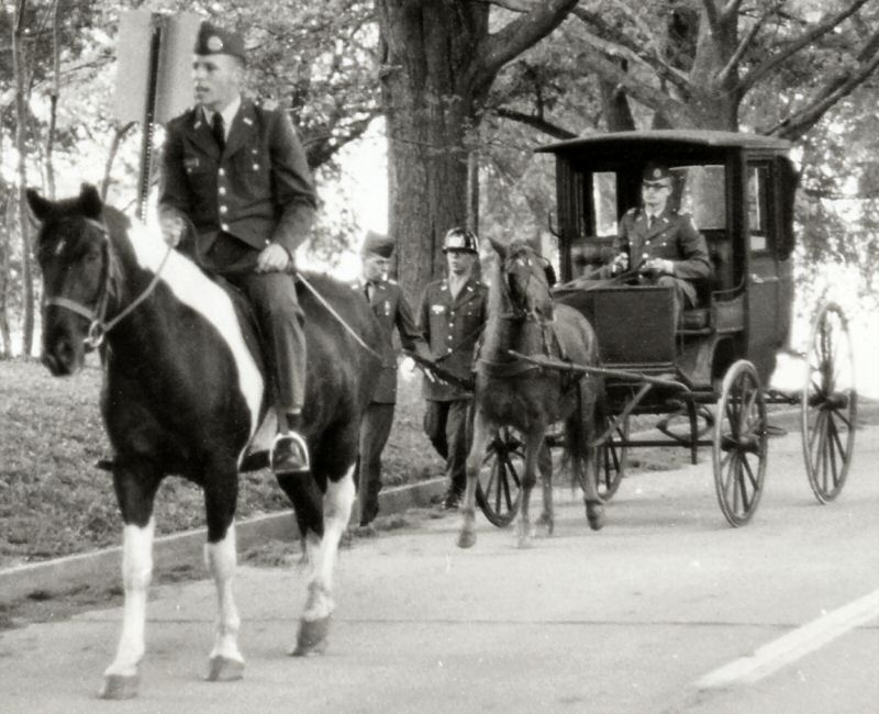 Senior Party Escort
