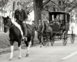 Senior Party Escort